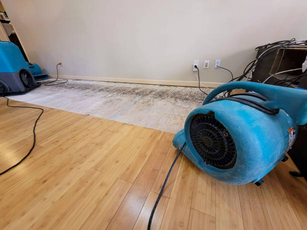 Professional Structural Drying technician working in Hephzibah, GA